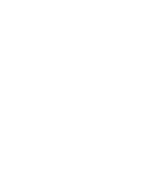 Government of Punjab crest